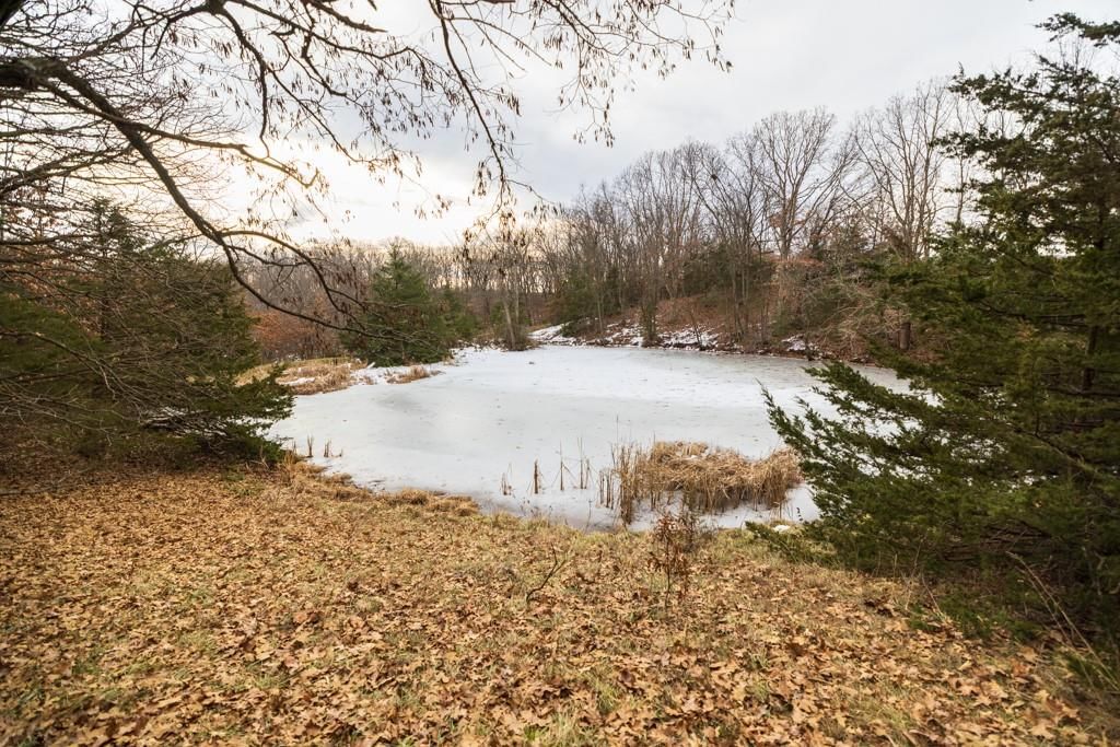 15974 Highway 129 Highway — photo 49