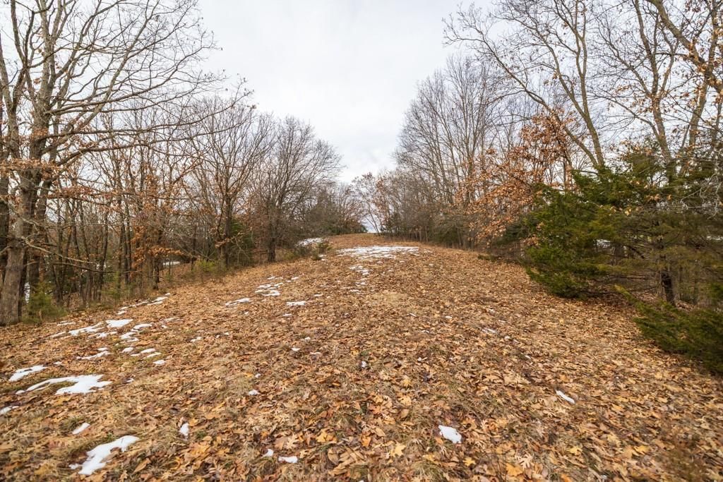 15974 Highway 129 Highway — photo 51