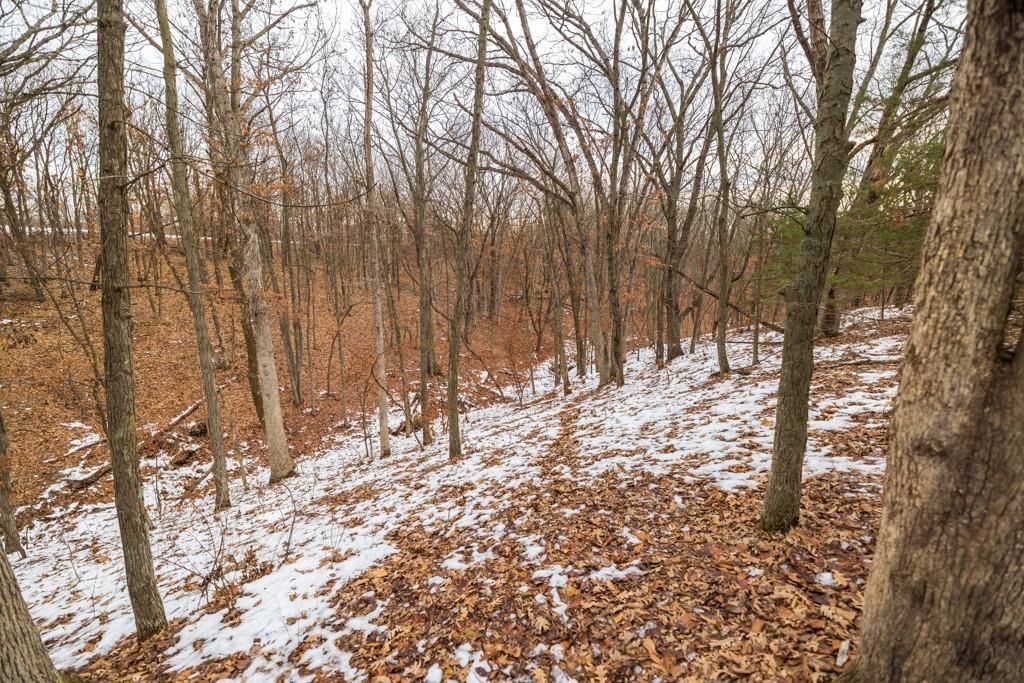 15974 Highway 129 Highway — photo 52