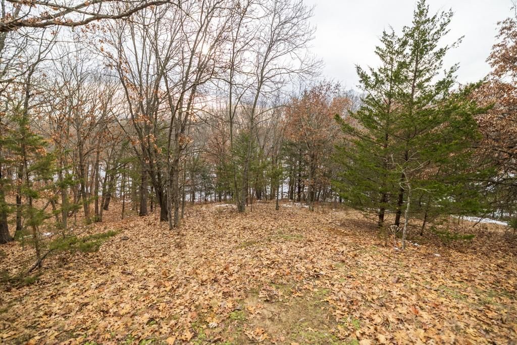 15974 Highway 129 Highway — photo 53