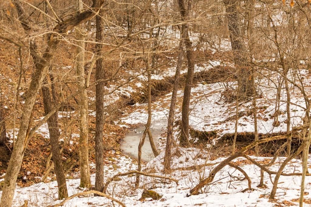 15974 Highway 129 Highway — photo 59