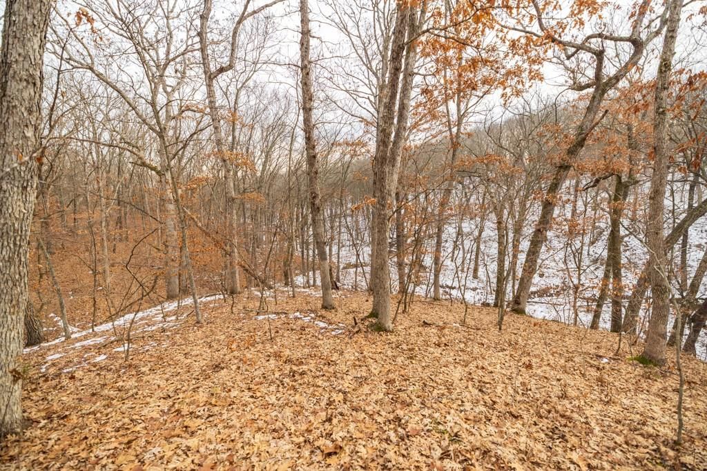 15974 Highway 129 Highway — photo 62