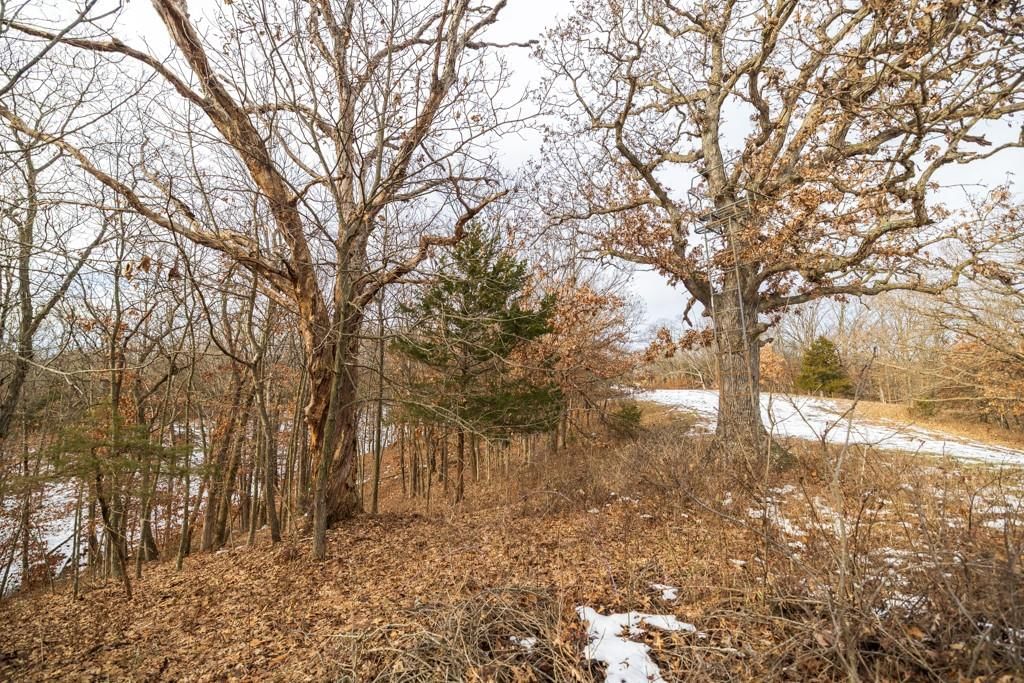 15974 Highway 129 Highway — photo 63