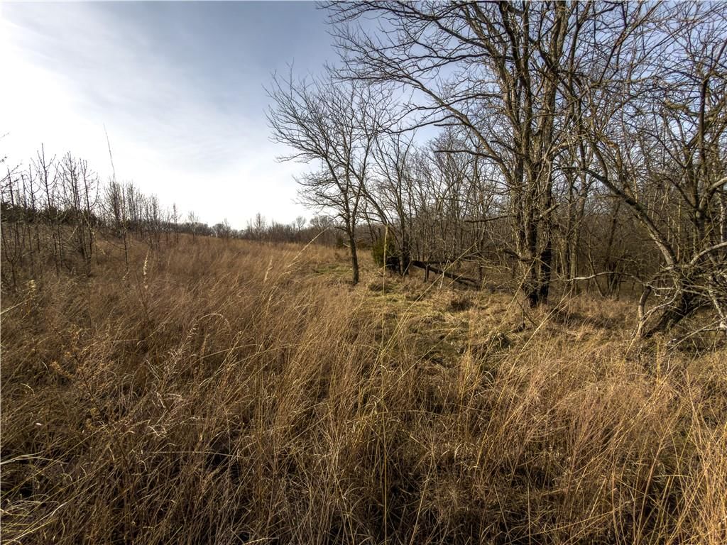 8333 Tobin Valley Drive — photo 30