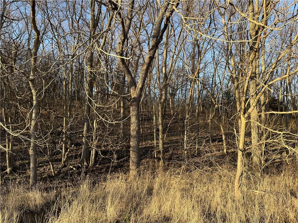 TBD W 172 Terrace — photo 8
