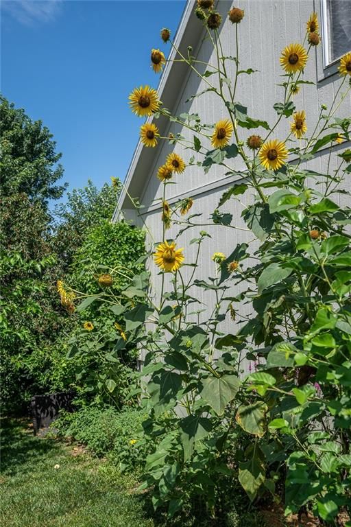 606 Briar Lane — photo 75