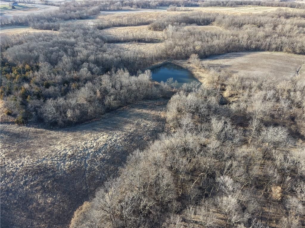 TBD SW State Route N Highway — photo 17