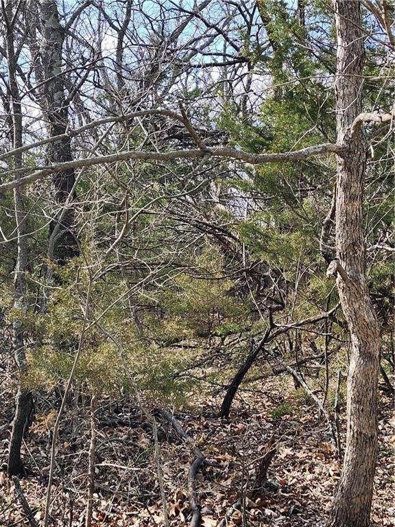 25 Shadow Lane, Linn Valley, KS