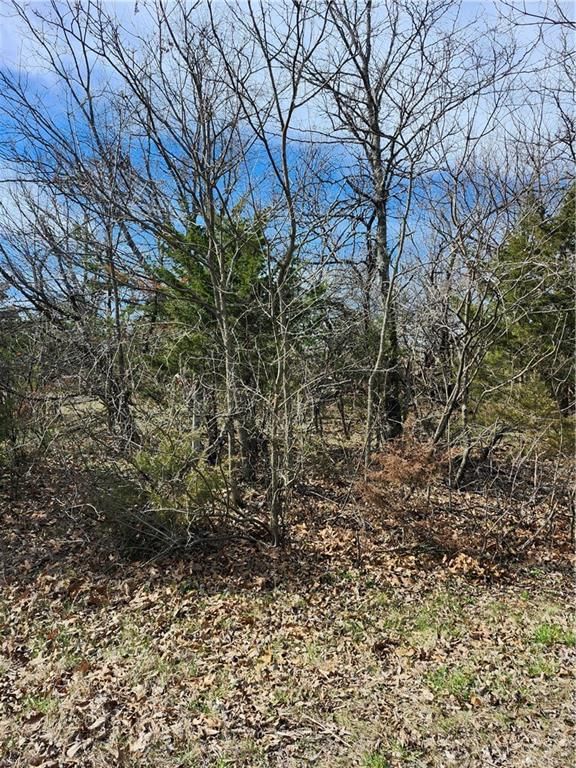 25 Shadow Lane — photo 4
