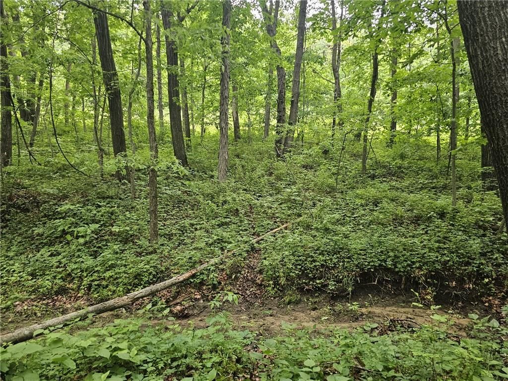 Nickel Avenue — photo 2