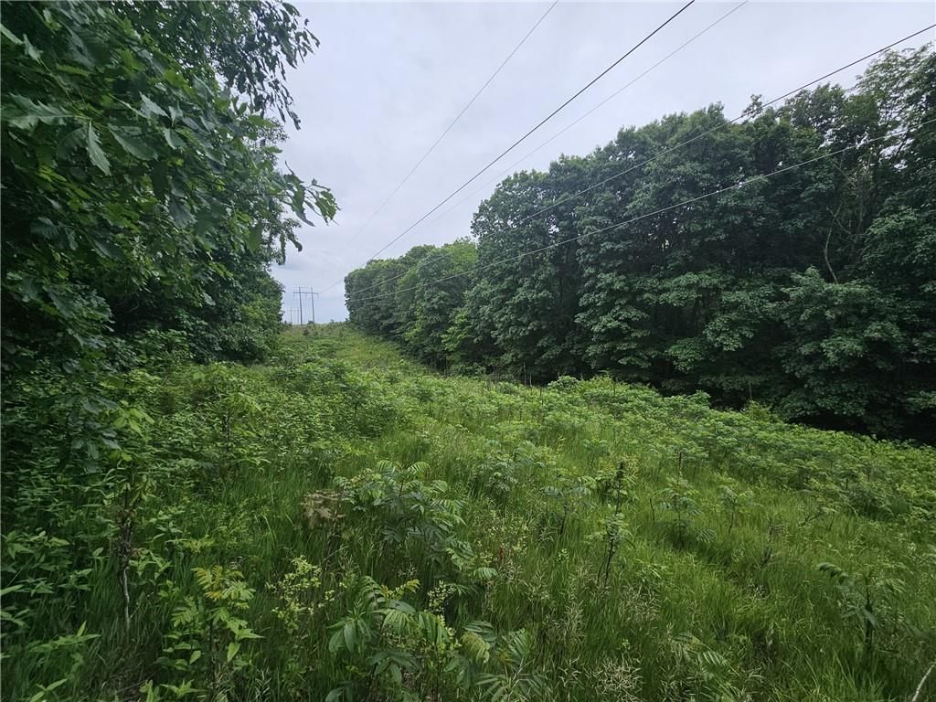 Nickel Avenue — photo 8