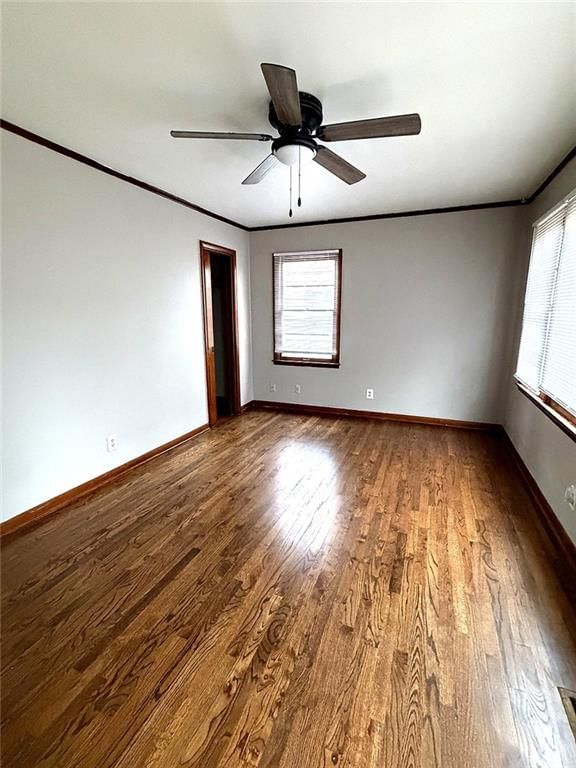 1115 Dakota Street — photo 4