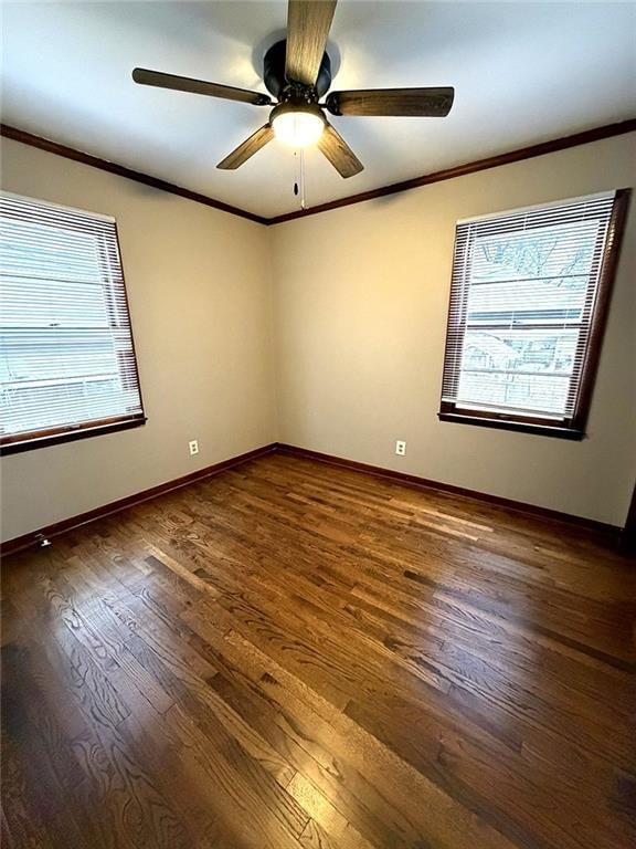 1115 Dakota Street — photo 7