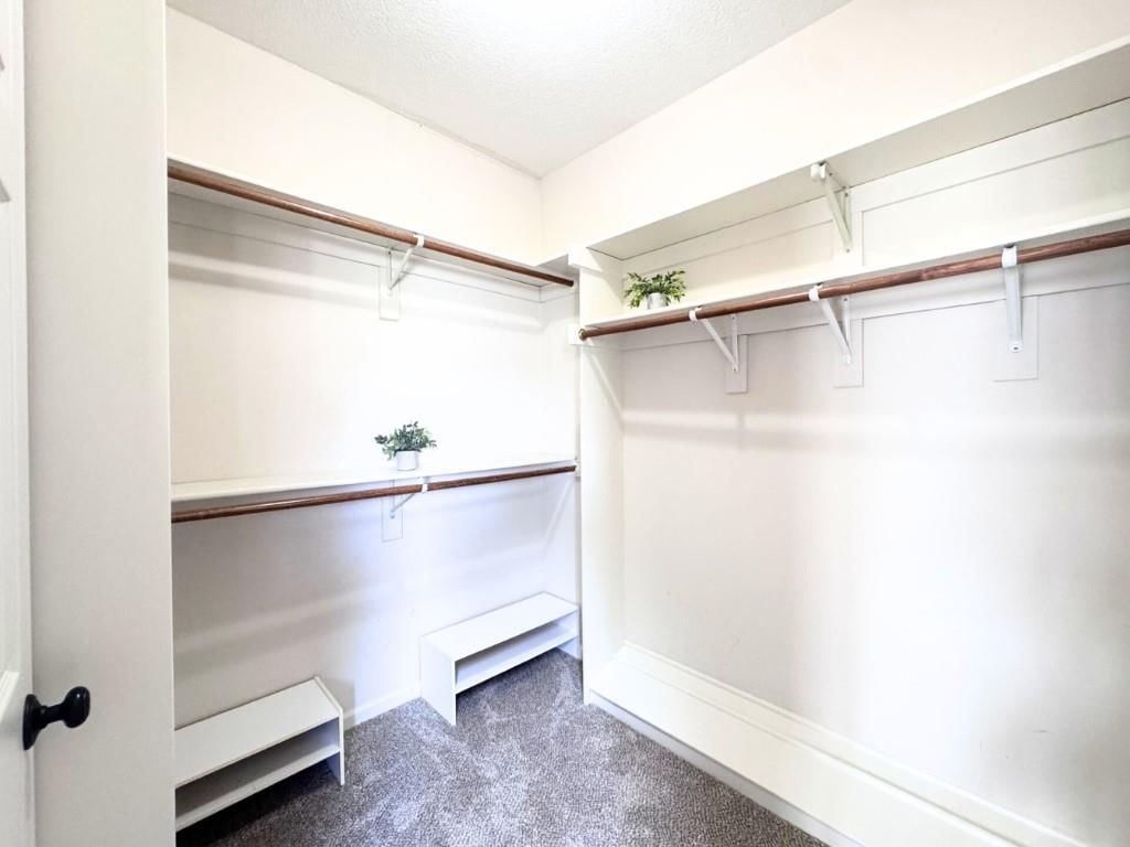 6 Timber Creek Drive — photo 30