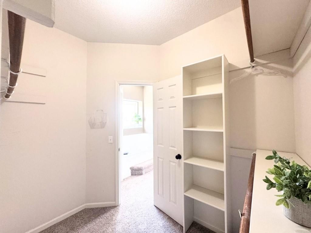 6 Timber Creek Drive — photo 31