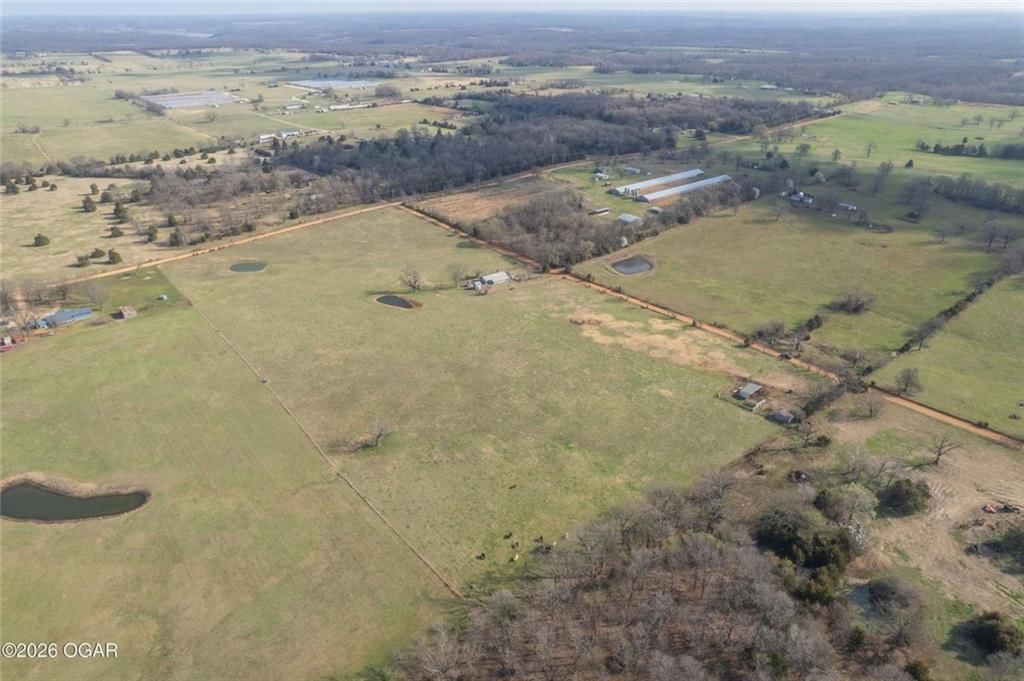 19+/- Acres Holly Road — photo 4