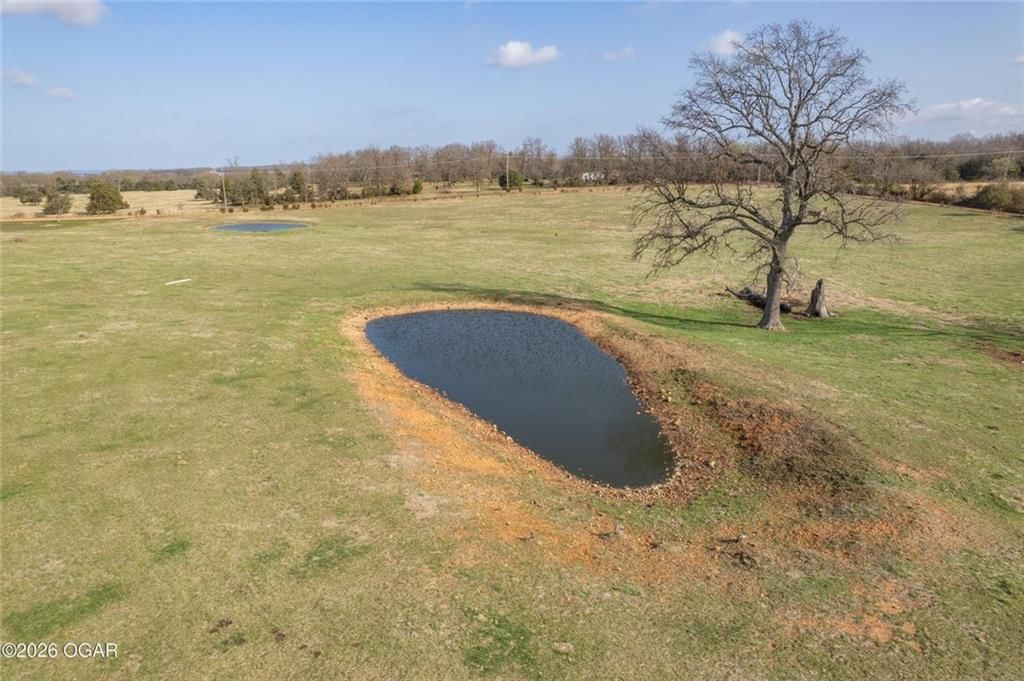 19+/- Acres Holly Road — photo 11