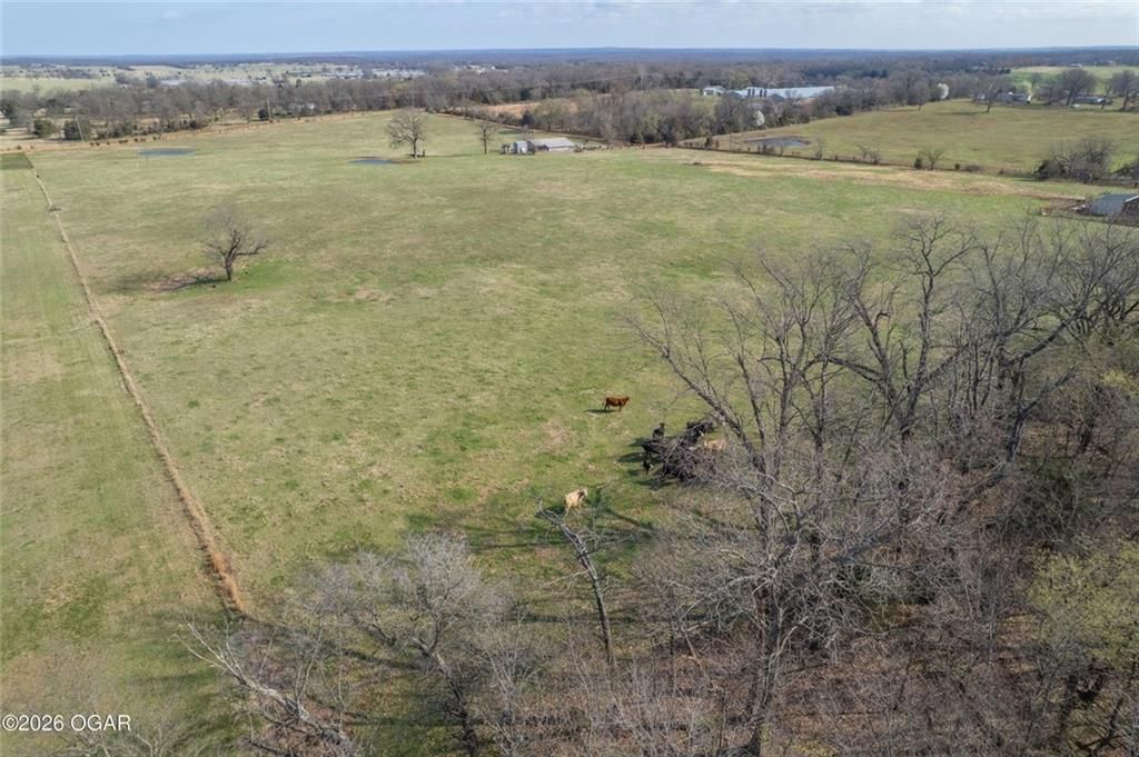 19+/- Acres Holly Road — photo 16