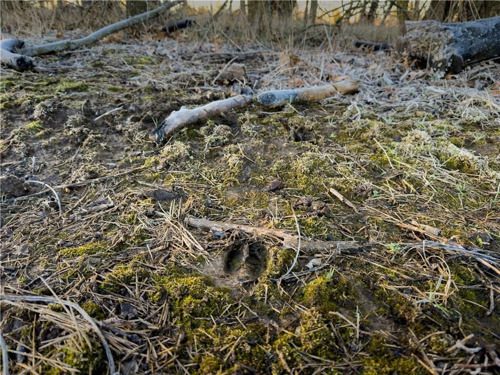 SW Outer Road — photo 10