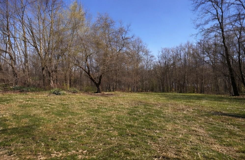 14921 Black Oak Drive — photo 26