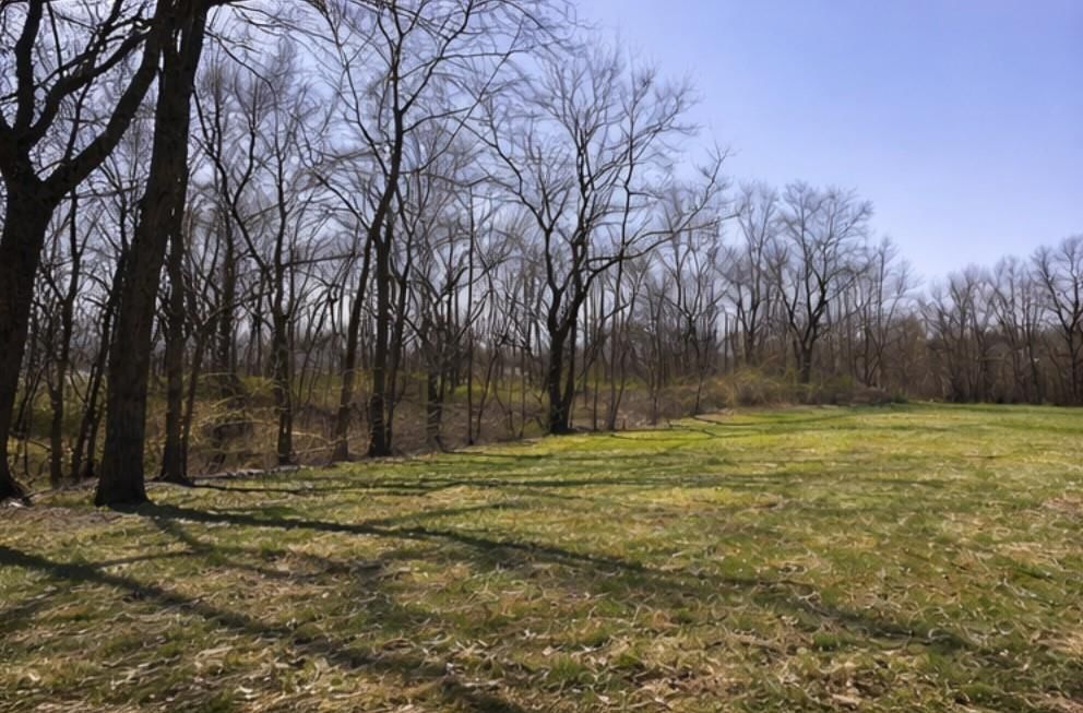 14921 Black Oak Drive — photo 27
