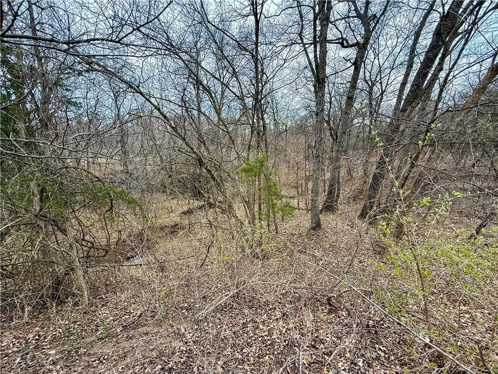 19209 Santa Fe Trail — photo 11