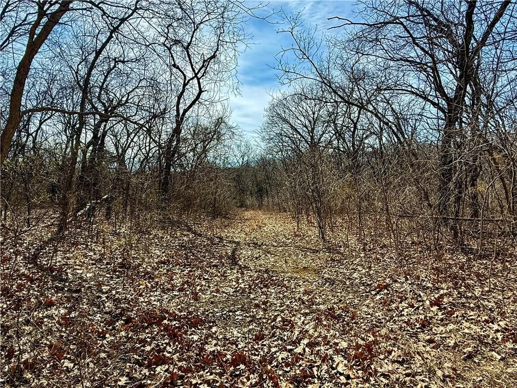 19209 Santa Fe Trail — photo 27