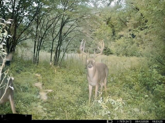 19209 Santa Fe Trail — photo 52