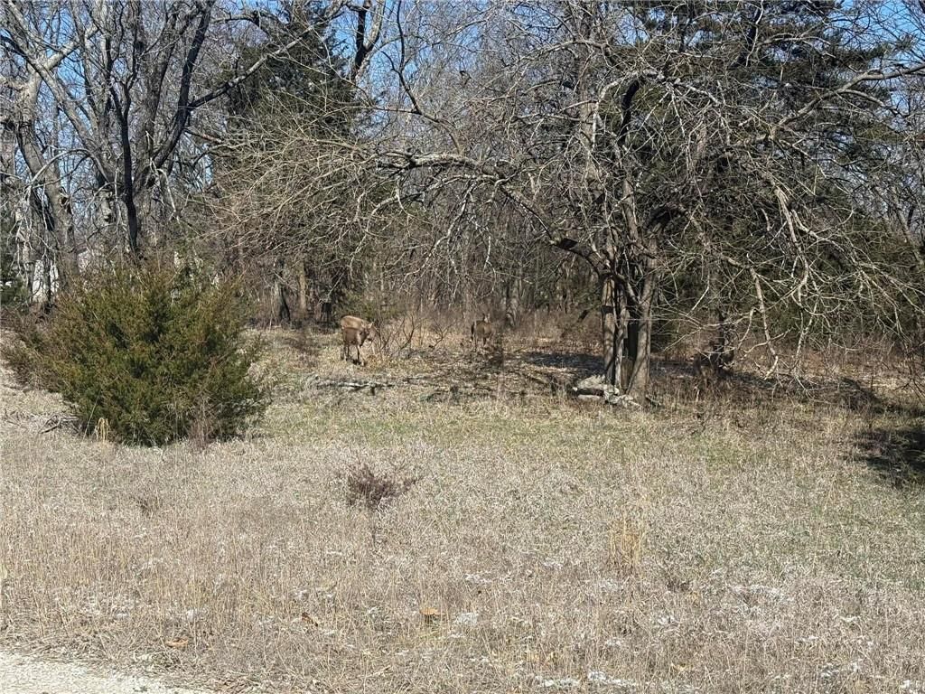 37 Poplar Lane — photo 2