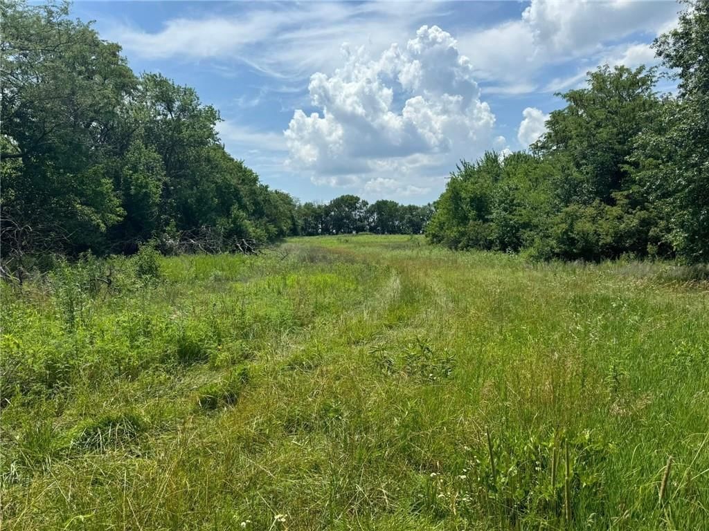 CR 151 Road — photo 5