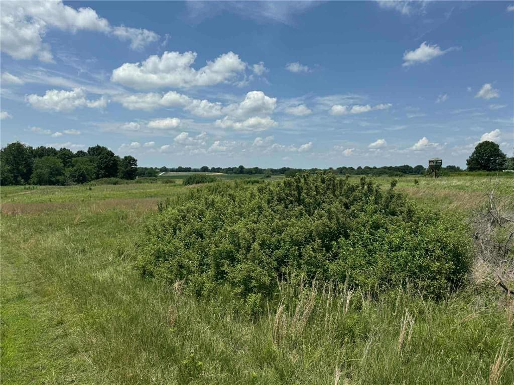 CR 151 Road — photo 8