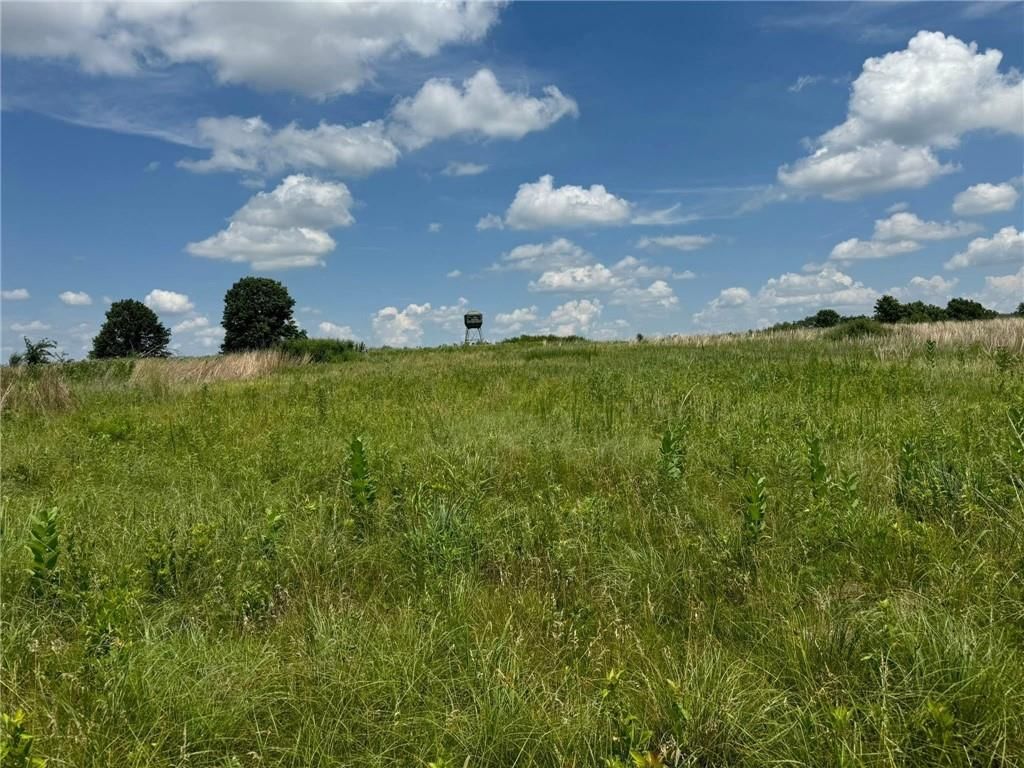 CR 151 Road — photo 9