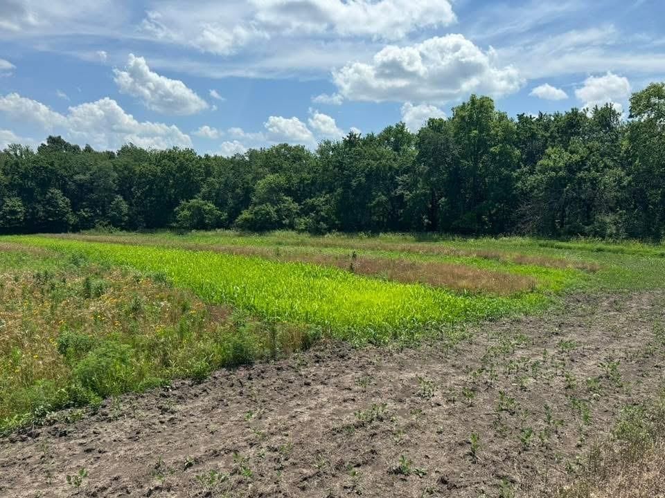 CR 151 Road — photo 15