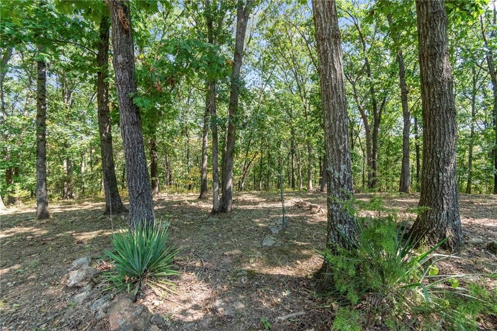 26690 Oakwood Lane — photo 48