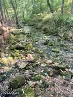 11279 Holly Rd. (33+/- Acres) Road — photo 10