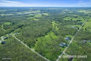 11279 Holly Rd. (33+/- Acres) Road — photo 45