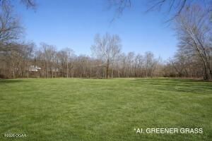 11279 Holly Rd. (33+/- Acres) Road — photo 53