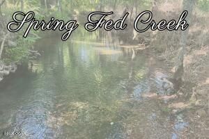 11279 Holly Rd. (33+/- Acres) Road — photo 54