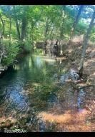 11279 Holly Rd. (33+/- Acres) Road — photo 73