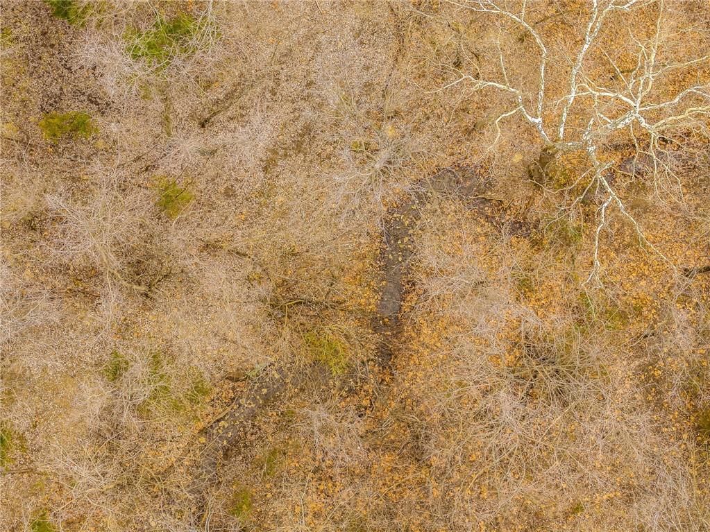 Lot 1 Lookout Road — photo 9