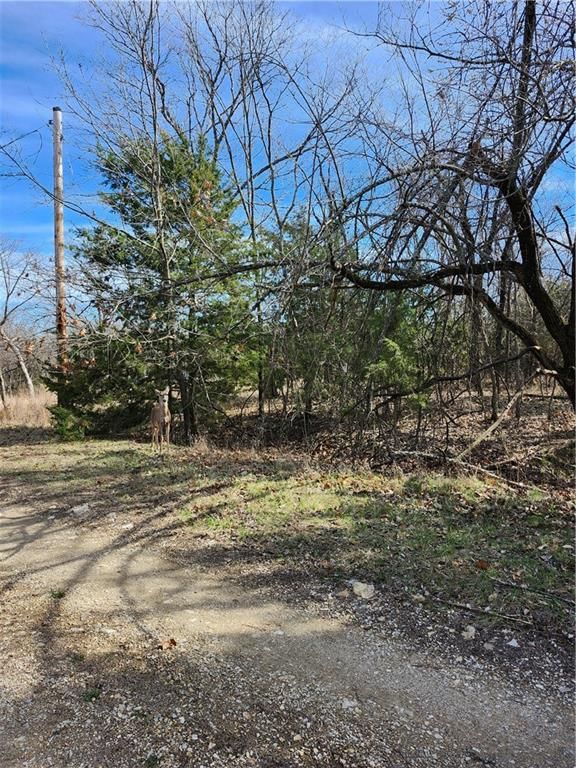 10 Scenic Valley Drive — photo 2