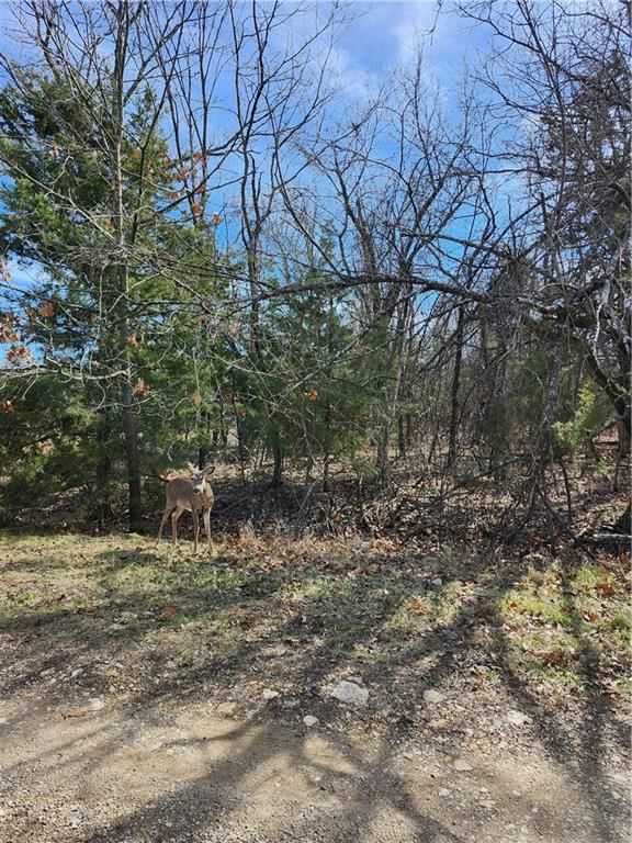 10 Scenic Valley Drive — photo 3