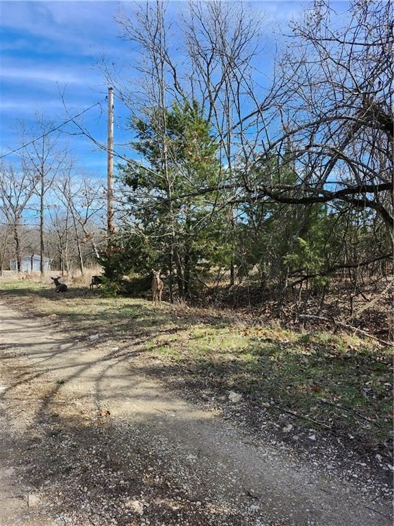 10 Scenic Valley Drive — photo 4