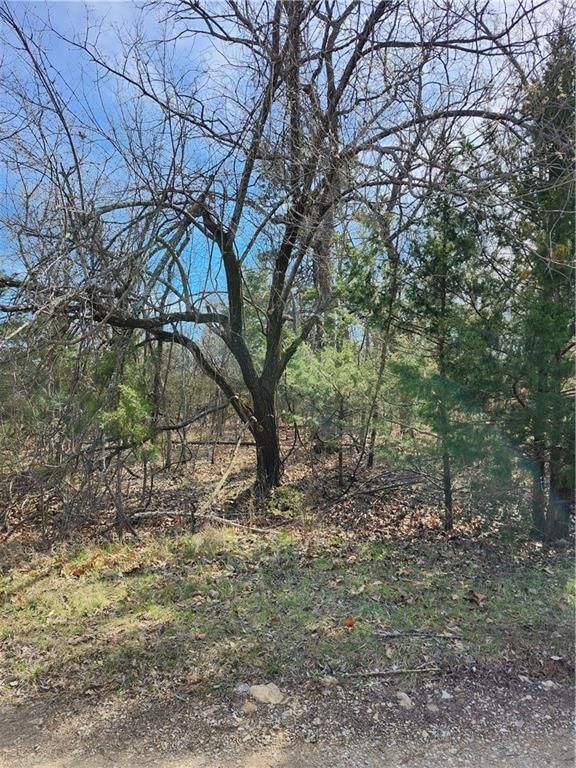 10 Scenic Valley Drive — photo 5