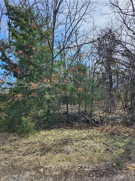 10 Scenic Valley Drive — photo 6