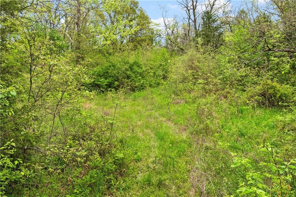 11155 Hubbard Road — photo 70