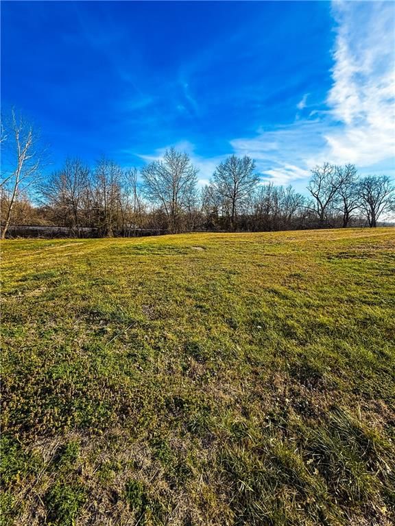 1207 S Cedar Street — photo 3
