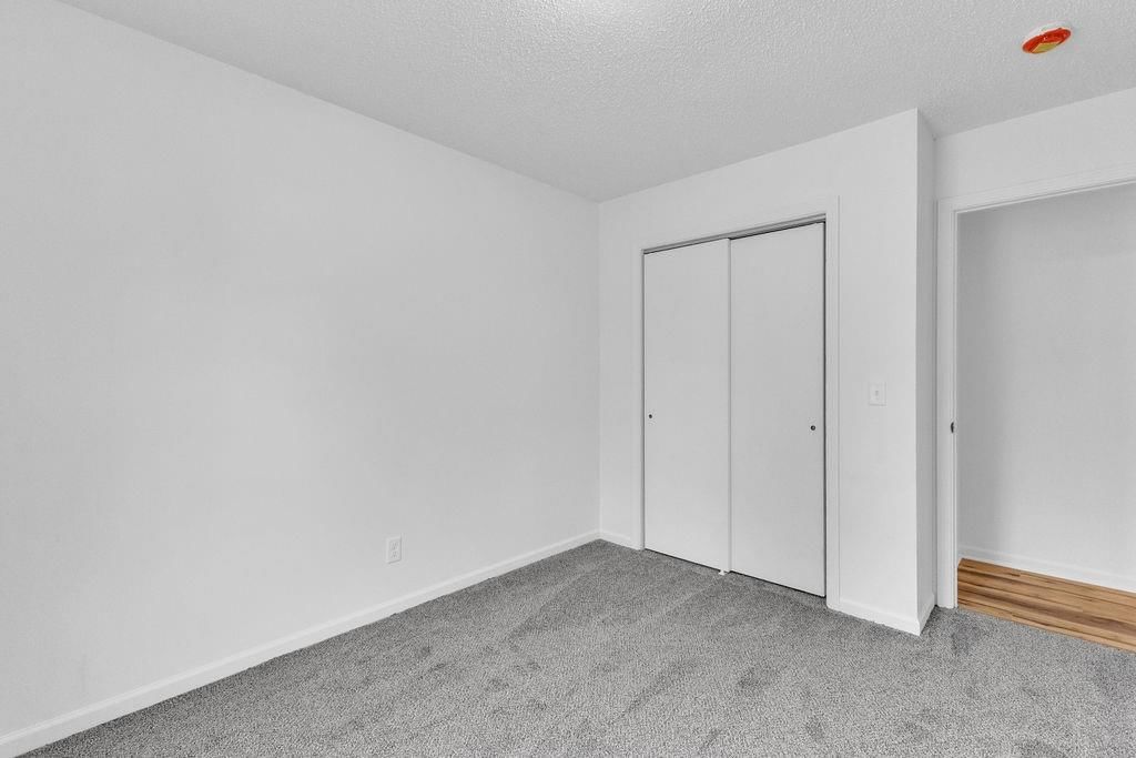 4606 Zebra Lane — photo 20