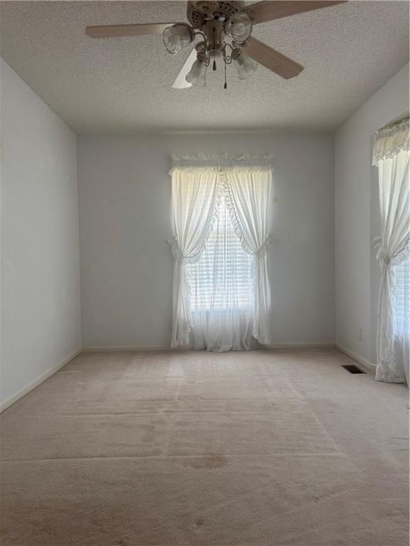813 Dogwood Street — photo 25