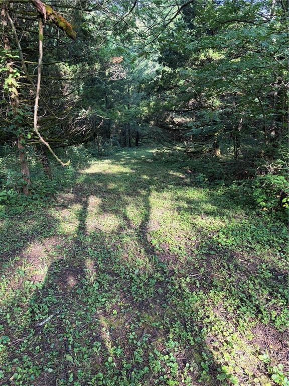 33 & 37 Sugar Lake Cove — photo 4